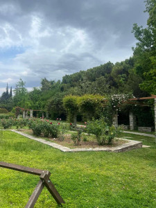 Βοτανικός 8