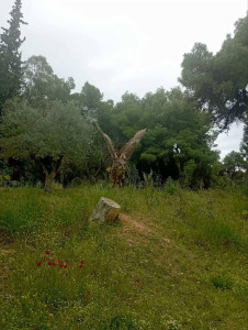Βοτανικός εξώφυλλο
